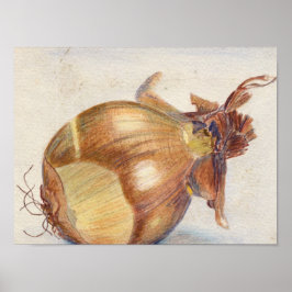 Pôster Sopa de Cebola?