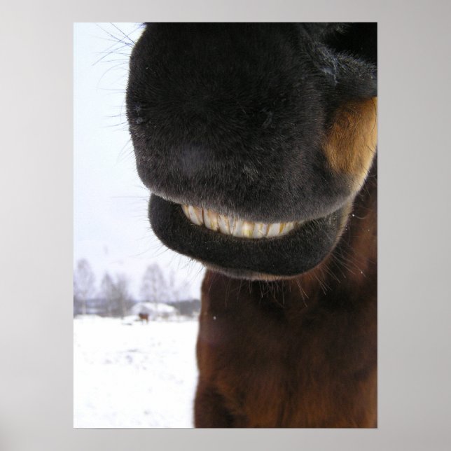 Pôster Sorria (Frente)