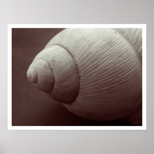 Pôster sorriso (Frente)