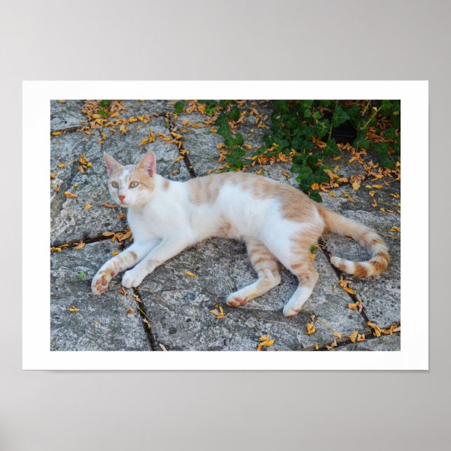 Pôster Sortudo acordado (Frente)