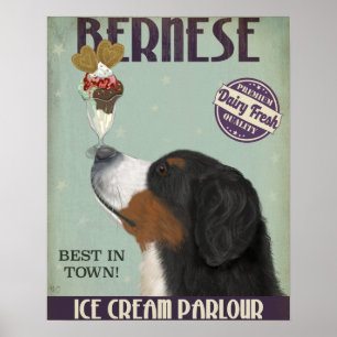Poster Sorvete Bernese