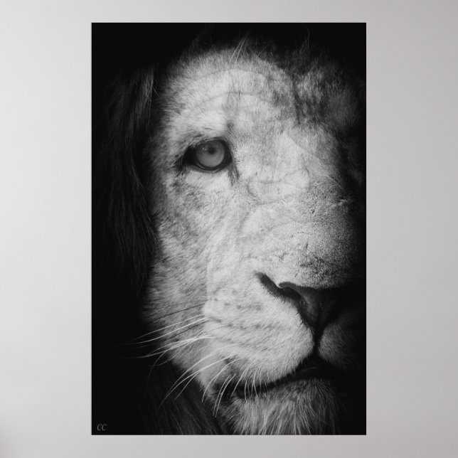 Pôster Sou o rei! (Frente)