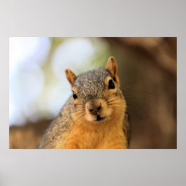 Pôster Sou secretamente subversivo! Mwah, hah, hah!