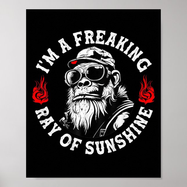 Poster Sou um Raio Maldito de Macaco Engraçado Sunshine ( (Frente)