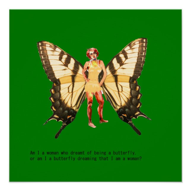 Pôster Sou uma mulher que sonhava ser uma borboleta? (Frente)
