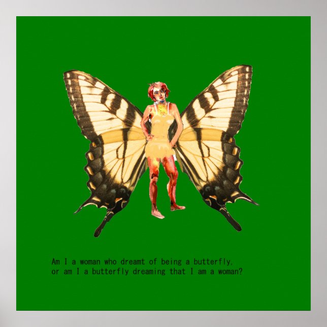 Poster Sou uma mulher que sonhava ser uma borboleta? (Frente)