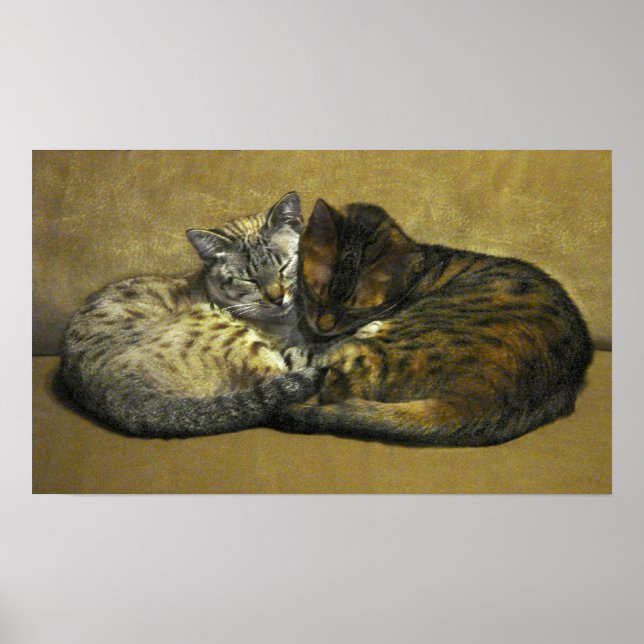 Pôster Soul Mates (Frente)