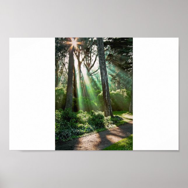 Poster Soul Shine (Frente)