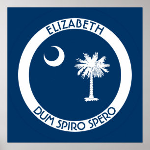 Pôster South Carolina a bandeira pessoal do estado do
