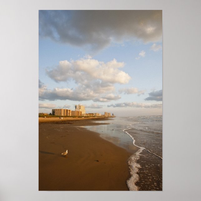 Pôster South Padre Island, Texas, EUA, resort hotels, (Frente)