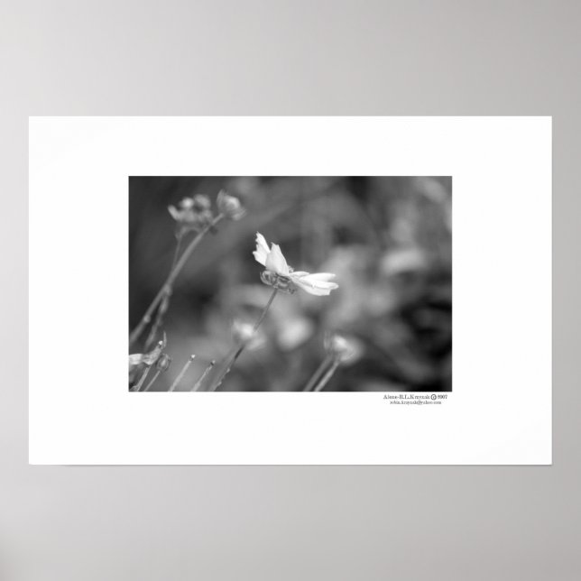 Pôster Sozinha (Frente)