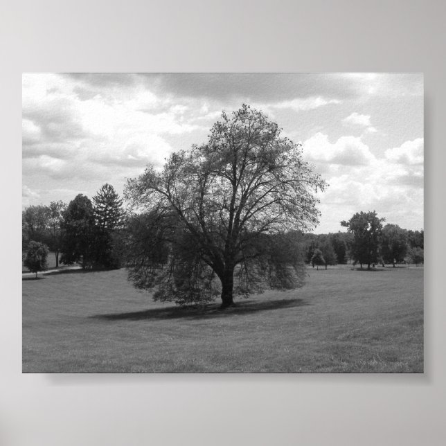 Pôster Sozinha (Frente)