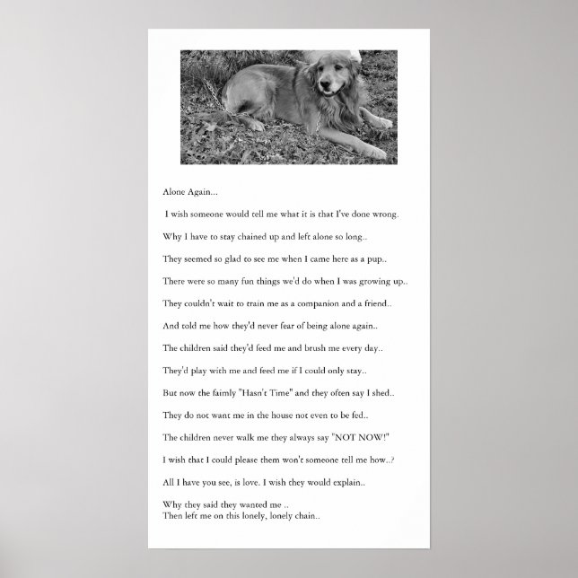 Pôster Sozinha Novamente (Frente)