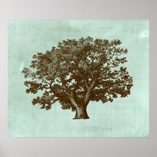 Pôster Spa Tree IV (Frente)