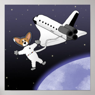 Pôster Space Corgis
