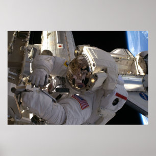 Poster Spacewalk (STS-119)