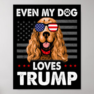 Poster Spaniel Até Meu Cachorro Adora Trump Engraçado