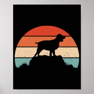 Poster Spaniel de springer em inglês