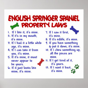 PÔSTER SPANIEL DE SPRINGER INGLÊS PL2