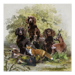 Pôster Spaniels Alemães (Deutscher Wachtelhund)