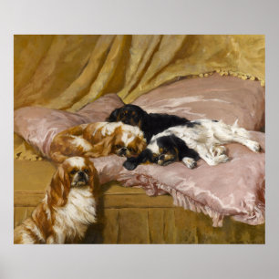 Pôster Spaniels de rei Charles por Arthur Wardle