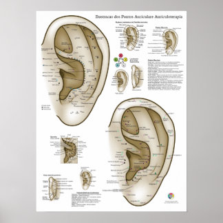 Poster Spanish Ear Acupuncture Chart
