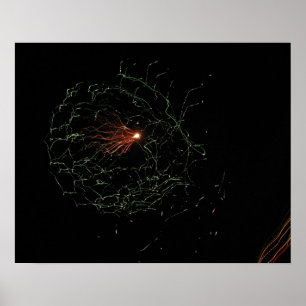 Pôster Sparkling Sky 2