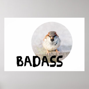 Poster Sparrow - Badass