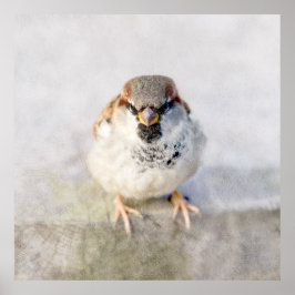 Poster Sparrow - O Guerreiro