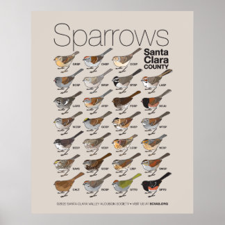 Poster Sparrows de Papais noeis do Condado de Clara
