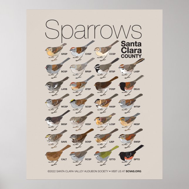 Poster Sparrows de Papais noeis do Condado de Clara (Frente)