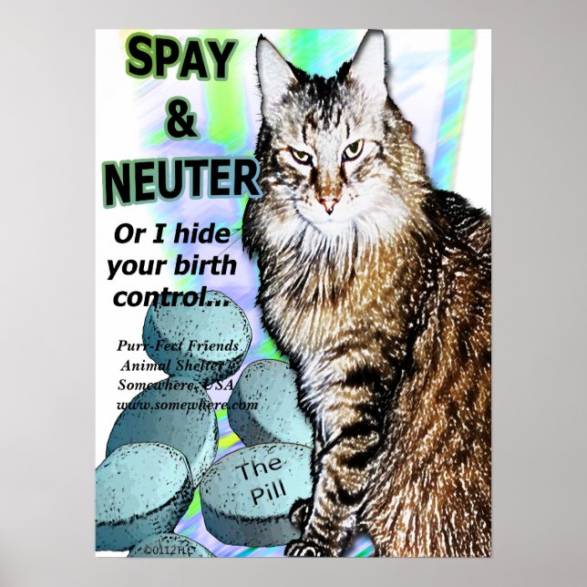 Poster Spay e Neuter (Ou escondo o controle de natalidade (Frente)