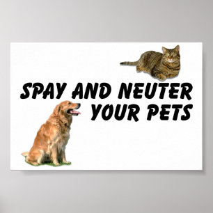 Poster Spay e neutralize