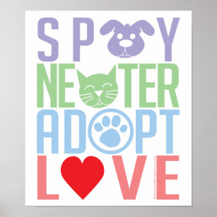 Poster Spay Neuter Adote Love 2
