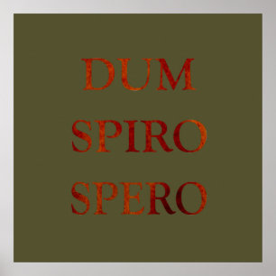 Poster Spero