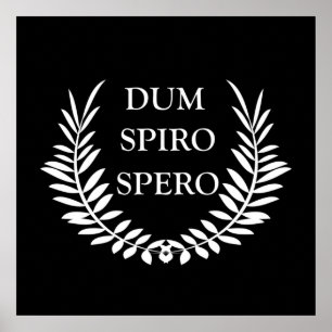 Poster Spero espiral
