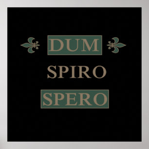 Poster Spero espiral