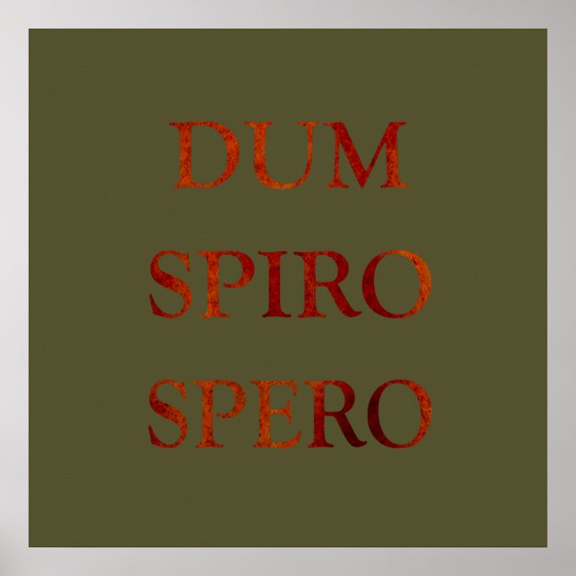 Poster Spero espiral (Frente)