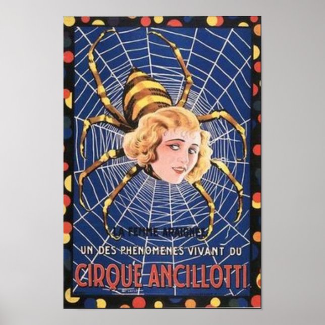 Poster Spider Girl (Frente)