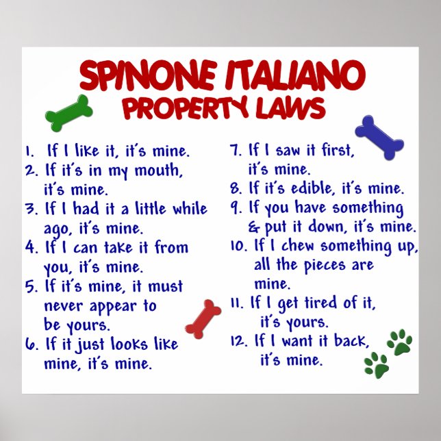 POSTER SPINONE ITALIANO PL2 (Frente)