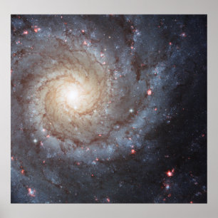 Pôster Spiral Galaxy M74