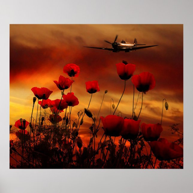 Poster Spitfire Salute (Frente)