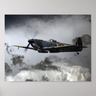 Pôster Spitfire TE311