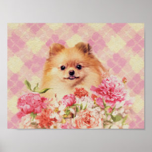 Poster Spitz alemão Pomerano Bonito com Flores