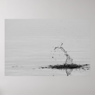 Poster Splash