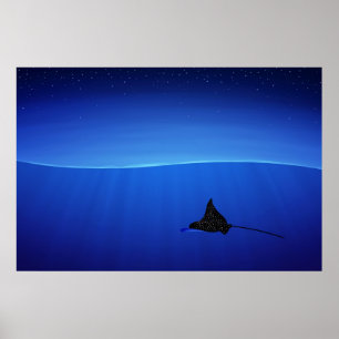 Poster Spotted eagle ray, Aetobatus narinari