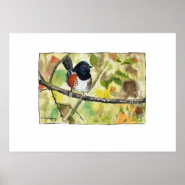 Poster Spotted Towhee, bird image, wall art, decoration