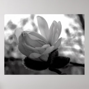 Pôster Spring Bloom Print