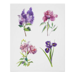 Pôster Spring Flowers Botanical Watercolor — Floral Study