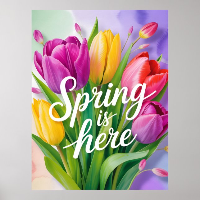 Poster "Spring is Here" Tulip Bouquet Illustration (Frente)